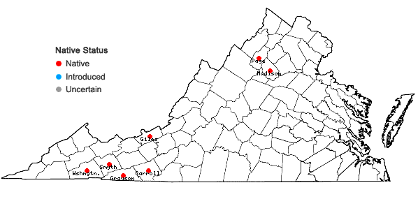 Locations ofSphagnum quinquefarium (Lindb.) Warnst. in Virginia