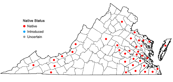 Locations ofSphagnum recurvum Palisot de Beauvois in Virginia