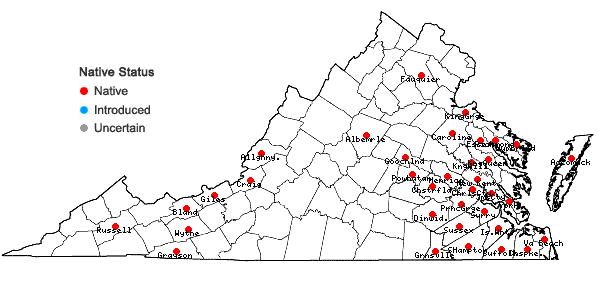 Locations ofSphagnum recurvum Palisot de Beauvois in Virginia