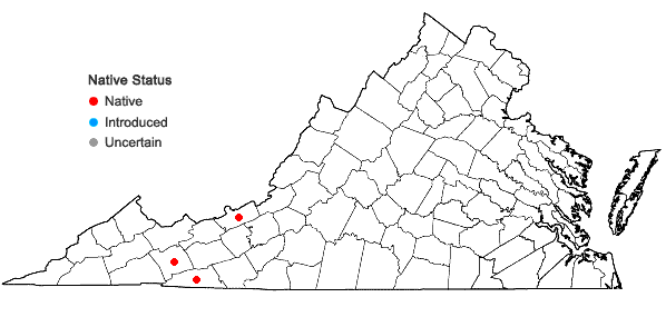 Locations ofSphagnum rubellum Wilson in Virginia