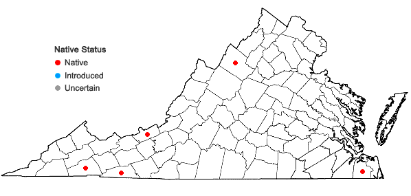 Locations ofSphagnum russowii Warnst. in Virginia