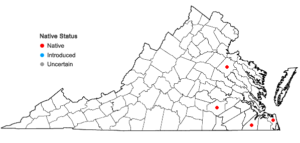 Locations ofSphagnum strictum Sullivant in Virginia