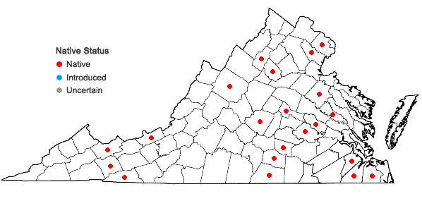 Locations ofSphagnum subsecundum Nees in Virginia