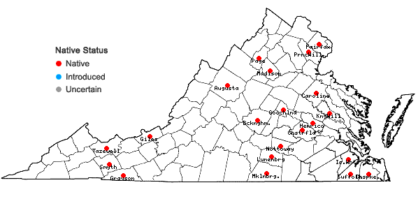Locations ofSphagnum subsecundum Nees in Virginia