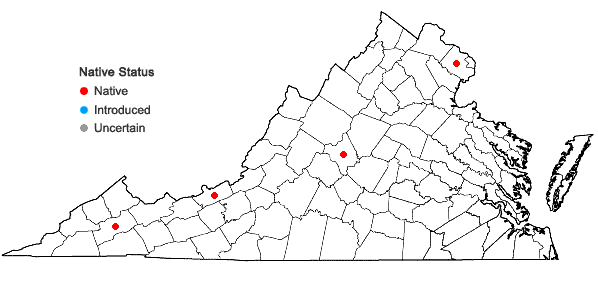 Locations ofSphagnum subtile (Russow) Warnst. in Virginia