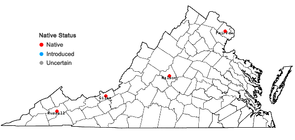Locations ofSphagnum subtile (Russow) Warnst. in Virginia