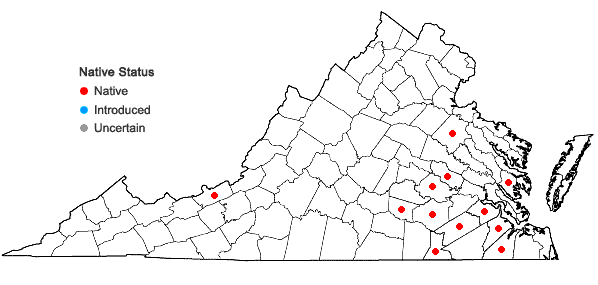 Locations ofSphagnum tenerum Sullivant in Virginia
