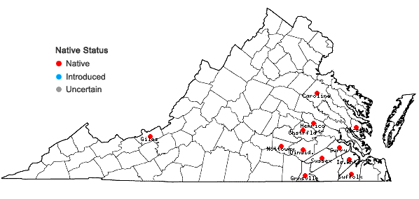 Locations ofSphagnum tenerum Sullivant in Virginia