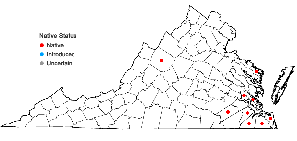 Locations ofSphagnum torreyanum Sullivant in Virginia
