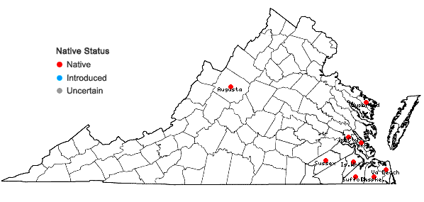 Locations ofSphagnum torreyanum Sullivant in Virginia