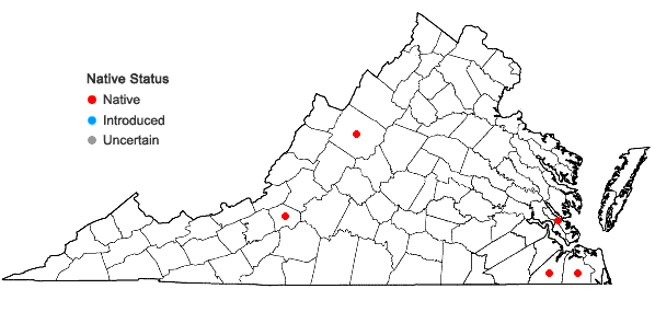 Locations ofSphagnum trinitense Müll. Hal. in Virginia