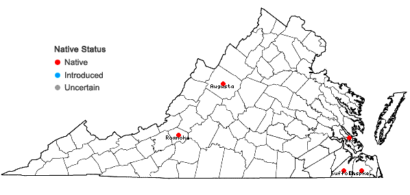 Locations ofSphagnum trinitense Müll. Hal. in Virginia