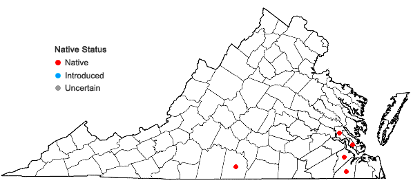 Locations ofSphenopholis filiformis (Chapman) Scribn. in Virginia