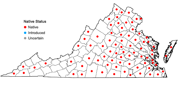 Locations ofSphenopholis obtusata (Michx.) Scribn. var. obtusata in Virginia