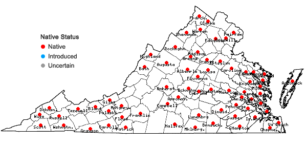 Locations ofSphenopholis pensylvanica (L.) A.S. Hitchc. in Virginia
