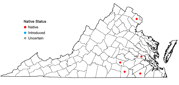 Locations ofSphenopholis × pallens (Biehler) Scribn. in Virginia