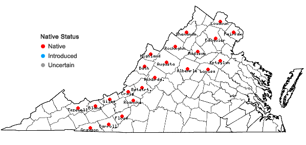 Locations ofSpiraea alba Du Roi var. alba in Virginia
