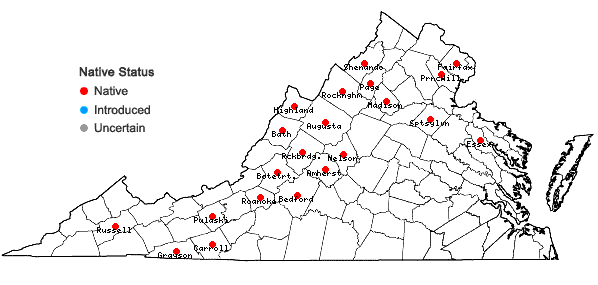 Locations ofSpiraea alba Du Roi var. latifolia (Ait.) Dippel in Virginia