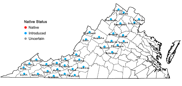 Locations ofSpiraea japonica L. f. in Virginia