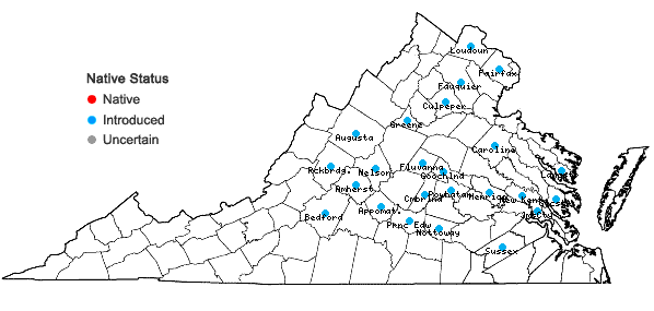 Locations ofSpiraea prunifolia Sieb. & Zucc. in Virginia