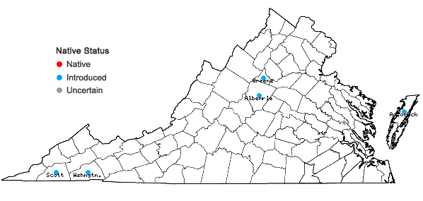 Locations ofSpiraea salicifolia L. in Virginia