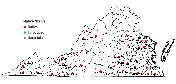 Locations ofSpiraea tomentosa L. in Virginia