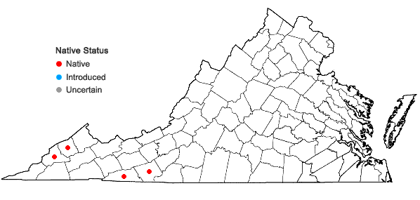 Locations ofSpiraea virginiana Britt. in Virginia