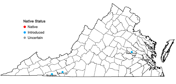 Locations ofSpiraea ×billiardii Herinq. in Virginia