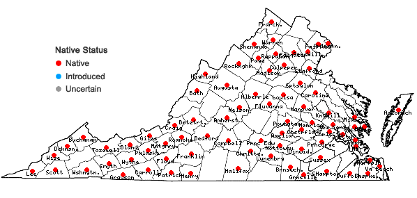 Locations ofSpiranthes cernua (L.) L.C. Rich. in Virginia
