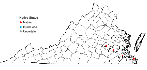 Locations ofSpiranthes eatonii Ames ex P.M. Brown in Virginia