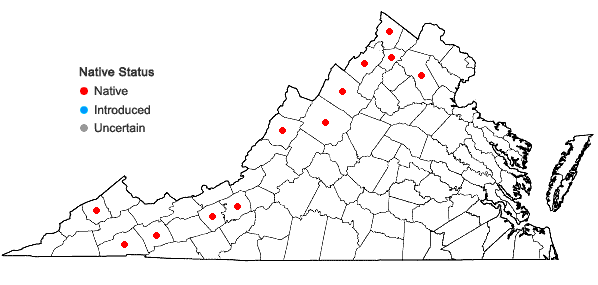 Locations ofSpiranthes lucida (H.H.Eat.) Ames in Virginia