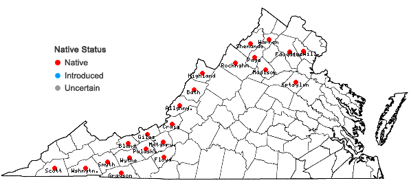 Locations ofSpiranthes ochroleuca (Rydb.) Rydb. in Virginia