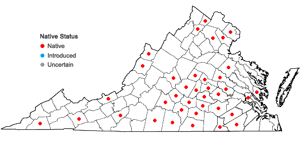 Locations ofSpiranthes ovalis Lindl. var. erostellata Catling in Virginia