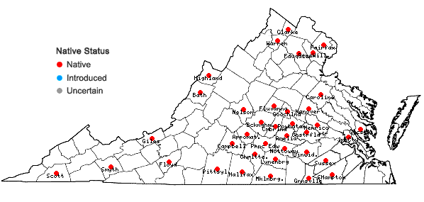 Locations ofSpiranthes ovalis Lindl. var. erostellata Catling in Virginia