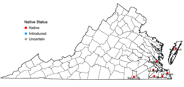 Locations ofSpiranthes praecox (Walt.) S.Wats. in Virginia