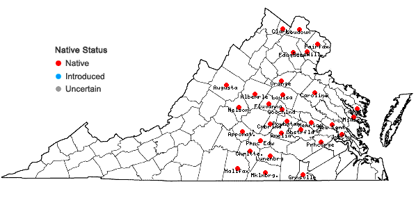 Locations ofSpiranthes tuberosa Raf. in Virginia