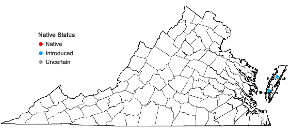 Locations ofSpirobassia hirsuta (L.) Frietag & G. Kadereit in Virginia