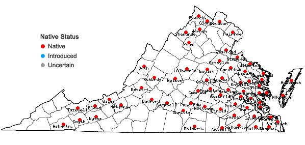 Locations ofSpirodela polyrrhiza (L.) Schleid. in Virginia