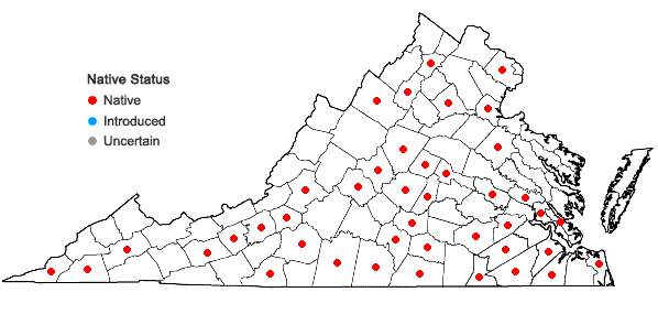 Locations ofSporobolus clandestinus (Biehler) A.S. Hitchc. in Virginia