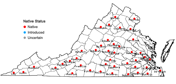 Locations ofSporobolus clandestinus (Biehler) A.S. Hitchc. in Virginia