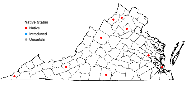 Locations ofSporobolus compositus (Poir.) Merr. var. compositus in Virginia
