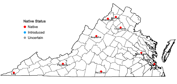 Locations ofSporobolus compositus (Poir.) Merr. var. compositus in Virginia