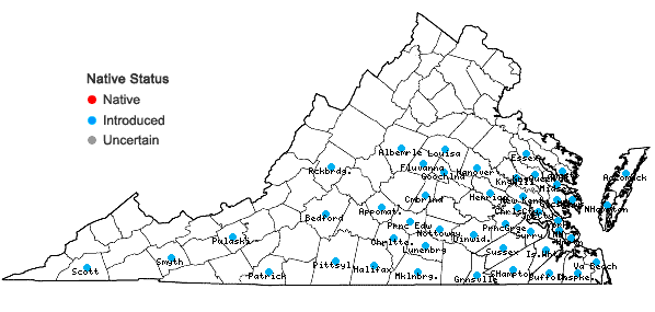 Locations ofSporobolus indicus (L.) R. Br. in Virginia