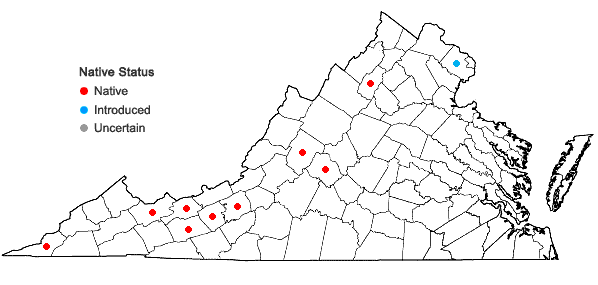 Locations ofSporobolus neglectus Nash in Virginia