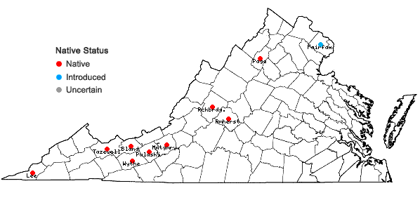 Locations ofSporobolus neglectus Nash in Virginia
