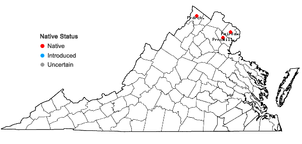 Locations ofStachys arenicola Britt. in Virginia