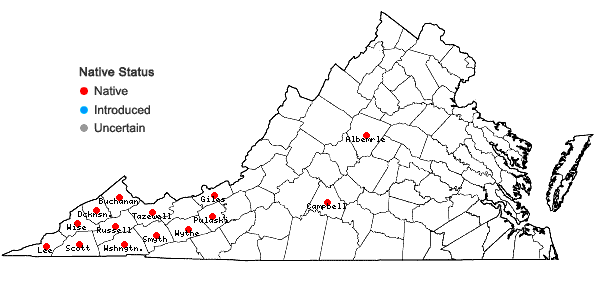 Locations ofStachys cordata Riddell in Virginia