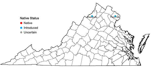 Locations ofStachys germanica L. in Virginia