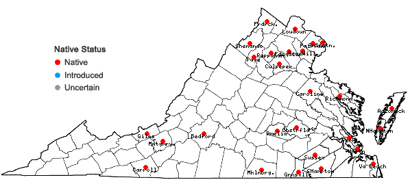 Locations ofStachys hispida Pursh in Virginia