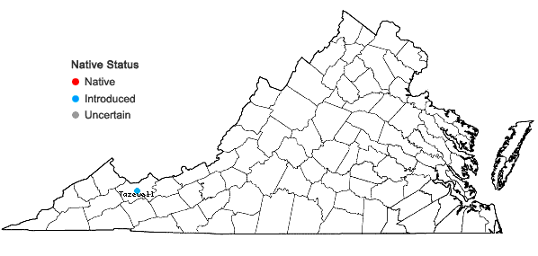 Locations ofStachys palustris L. in Virginia
